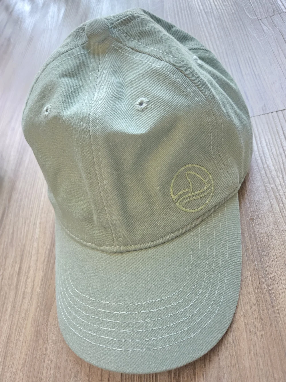 NWOT Caps: Arey Not Today Charcoal Gray & Biossance Sage Green Dad Hats Lot of 2